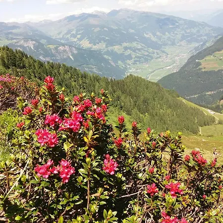 - Monika Sporer Διαμέρισμα *