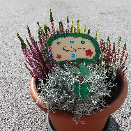 - Monika Sporer Appartement