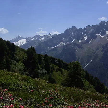 Daire - Monika Sporer Hippach