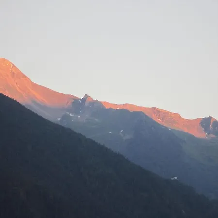 - Monika Sporer * Hippach