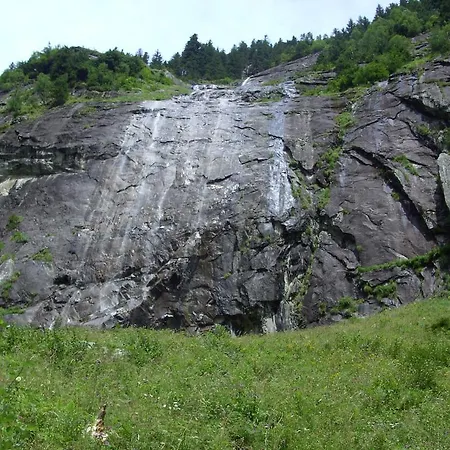 Daire - Monika Sporer