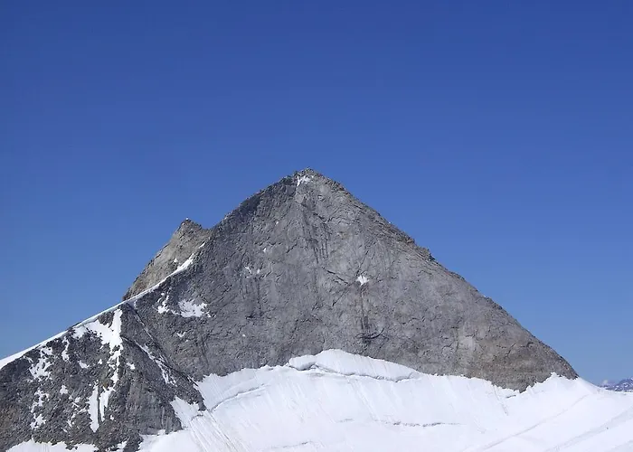 希帕赫莫妮卡斯波勒公寓 公寓 *