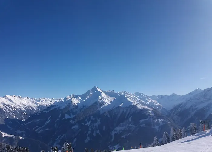 希帕赫莫妮卡斯波勒公寓 *