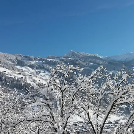 Appartement - Monika Sporer