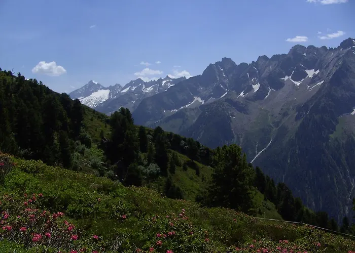 Appartement - Monika Sporer Hippach