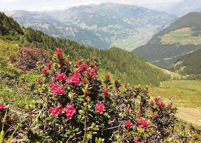 - Monika Sporer Appartement *