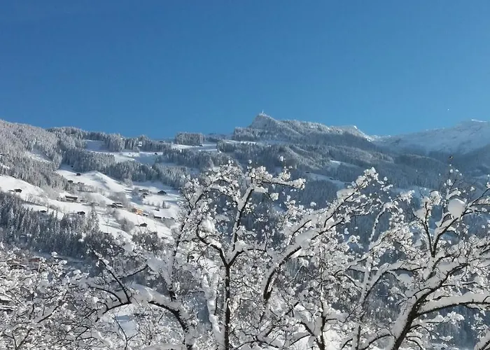 Appartement - Monika Sporer